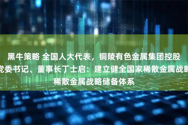 黑牛策略 全国人大代表，铜陵有色金属集团控股有限公司党委书记、董事长丁士启：建立健全国家稀散金属战略储备体系