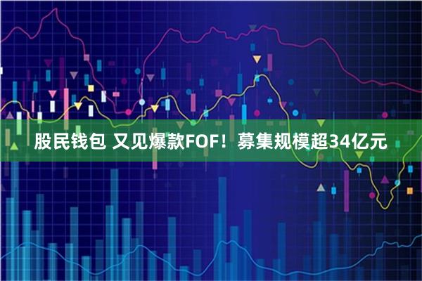 股民钱包 又见爆款FOF！募集规模超34亿元