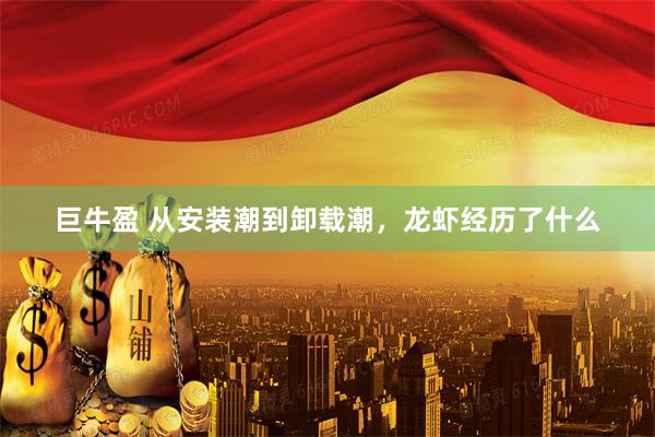 巨牛盈 从安装潮到卸载潮，龙虾经历了什么