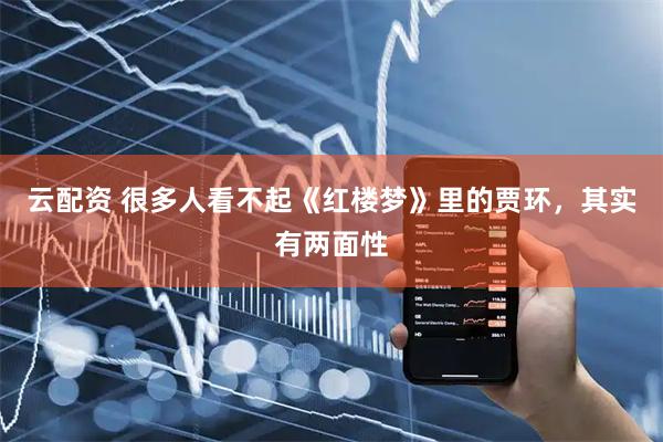 云配资 很多人看不起《红楼梦》里的贾环，其实有两面性