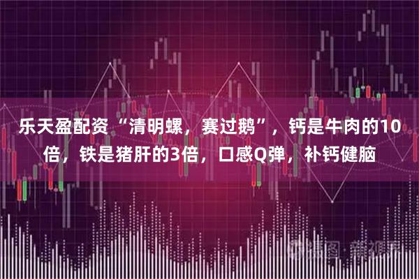 乐天盈配资 “清明螺,赛过鹅”,钙是牛肉的10倍,铁是猪肝的3倍,口感Q弹,补钙健脑