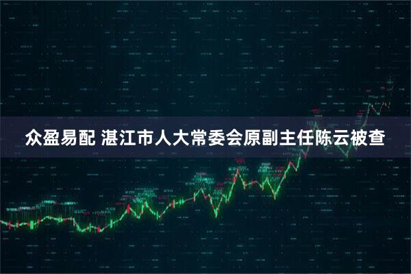 众盈易配 湛江市人大常委会原副主任陈云被查