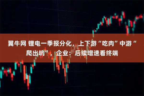 翼牛网 锂电一季报分化，上下游“吃肉”中游“爬出坑”，企业：后续增速看终端