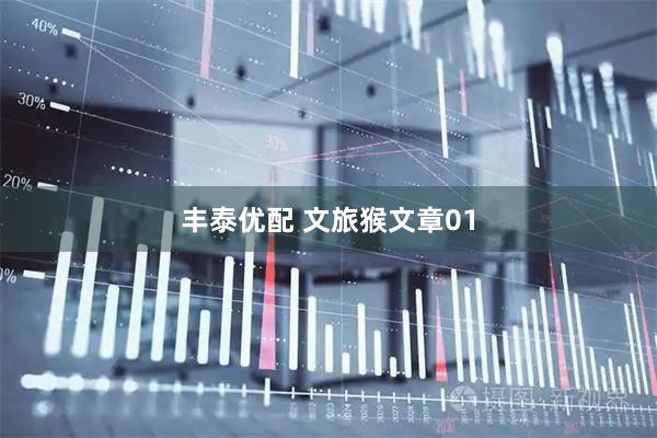 丰泰优配 文旅猴文章01