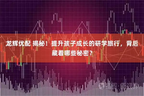 龙辉优配 揭秘！提升孩子成长的研学旅行，背后藏着哪些秘密？