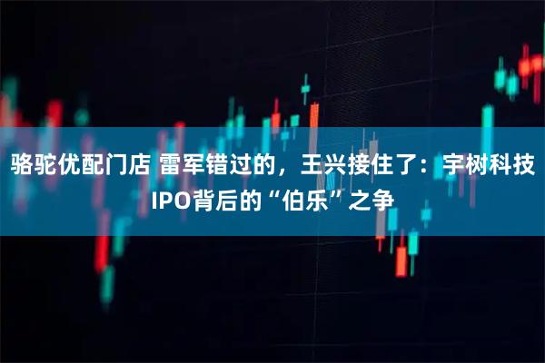 骆驼优配门店 雷军错过的，王兴接住了：宇树科技IPO背后的“伯乐”之争