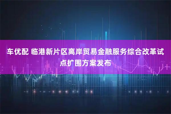 车优配 临港新片区离岸贸易金融服务综合改革试点扩围方案发布