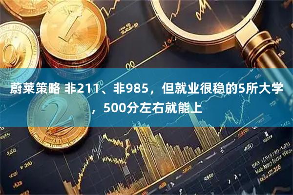 蔚莱策略 非211、非985，但就业很稳的5所大学，500分左右就能上